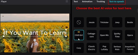 CapCut voice picker showing AI voice filters for gender, language, age, and style — the full available selection varies by region